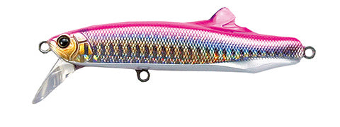 CONTACT FRITZ - TACKLE HOUSE