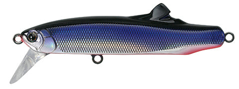 CONTACT FRITZ - TACKLE HOUSE