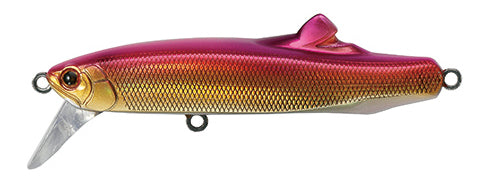 CONTACT FRITZ - TACKLE HOUSE