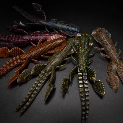 Empel Bug - Galápagos