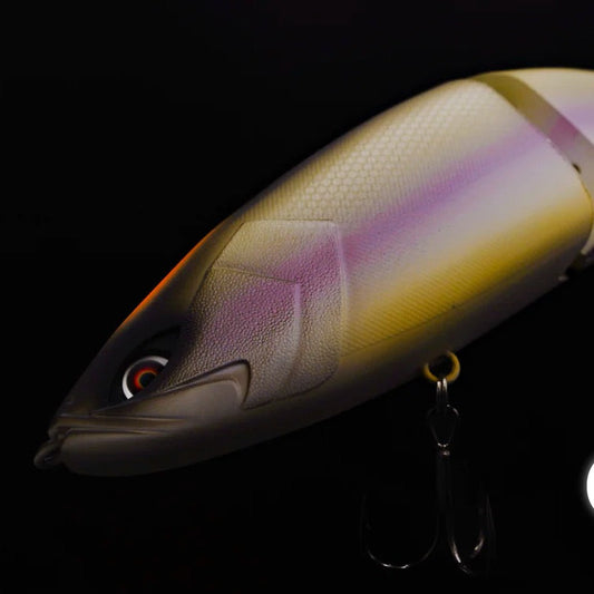 Grace 280 - Galápagos