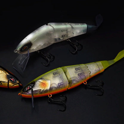 Grace 210L - Galápagos