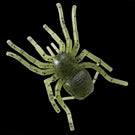 BIG SPIDER MICRO - GAN CRAFT