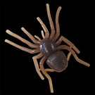 BIG SPIDER MICRO - GAN CRAFT