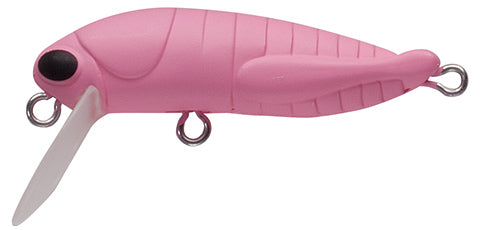 elfin Grasshopper - TACKLE HOUSE