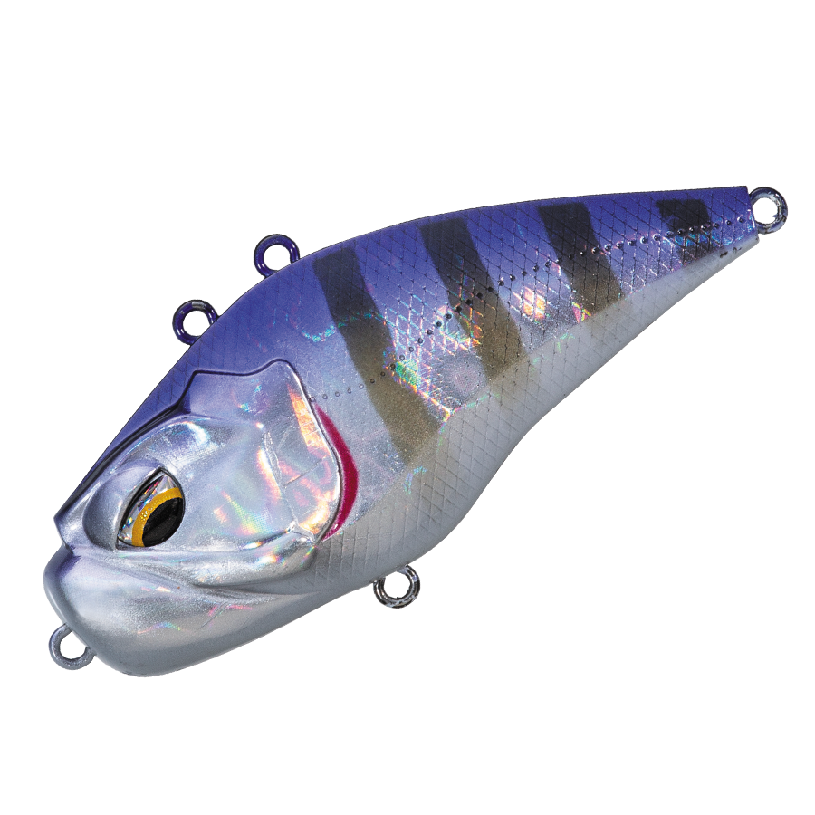 GIGANOTO Light - Valleyhill