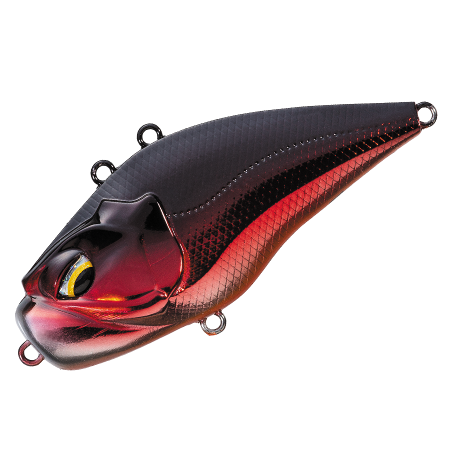 GIGANOTO TG Rattle - Valleyhill
