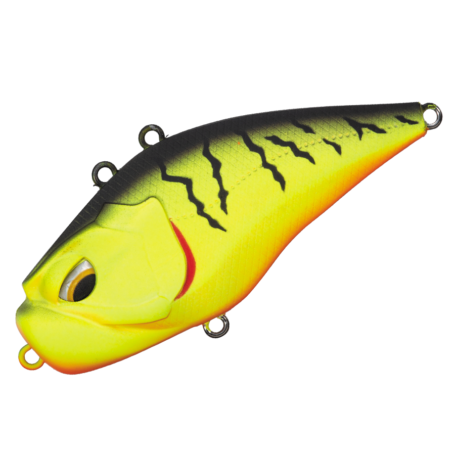 GIGANOTO TG Rattle - Valleyhill