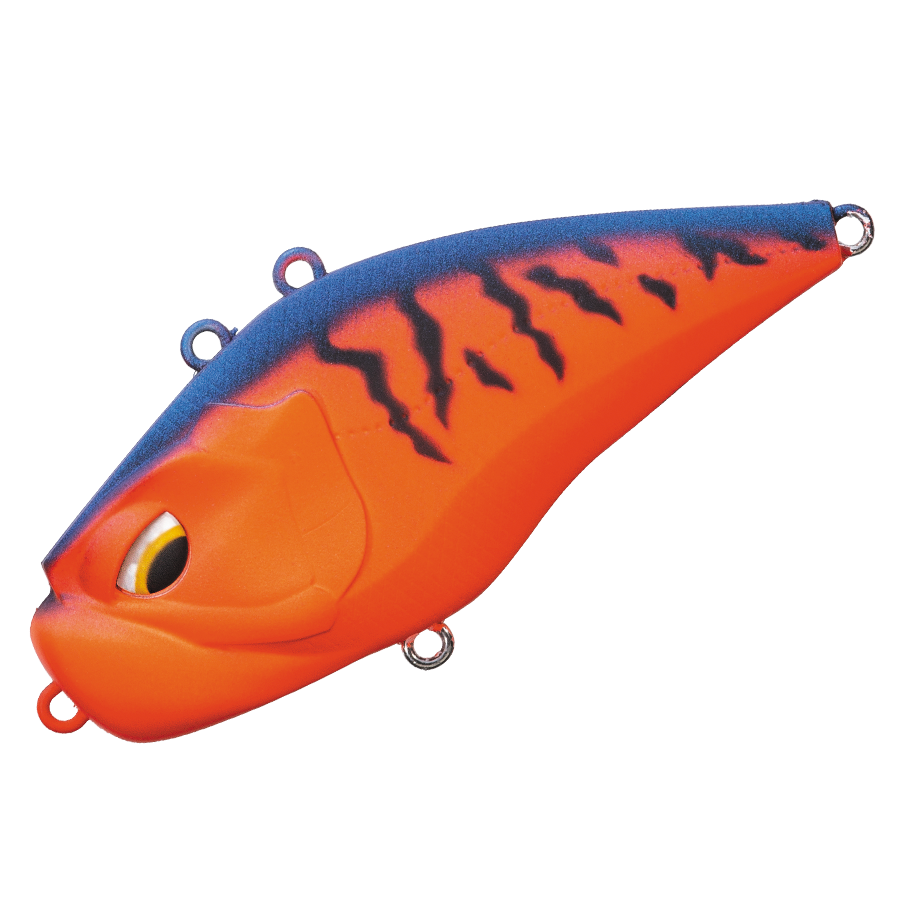 GIGANOTO TG Rattle - Valleyhill