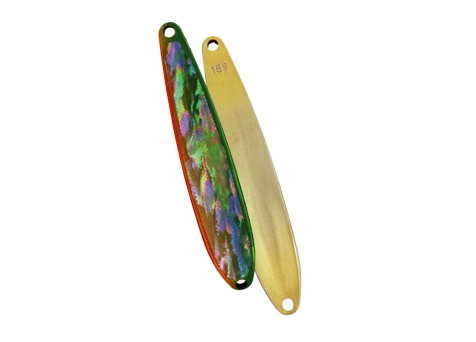 HARDSTREAMS Giger Abalone - IVYLINE