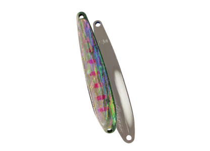 HARDSTREAMS Giger Abalone - IVYLINE