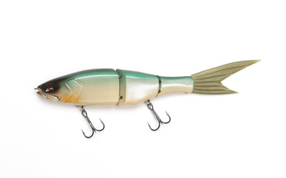 Grace 240F - Galápagos