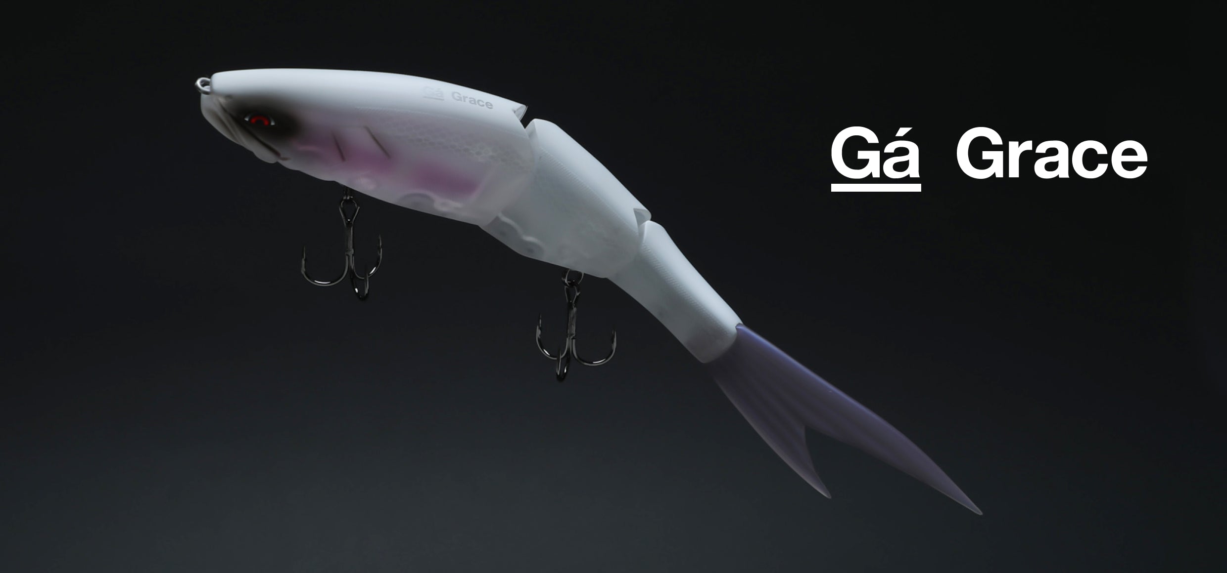 Grace 240F - Galápagos – MINAMI