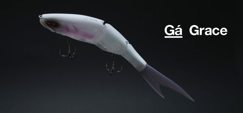 Grace 240F - Galápagos