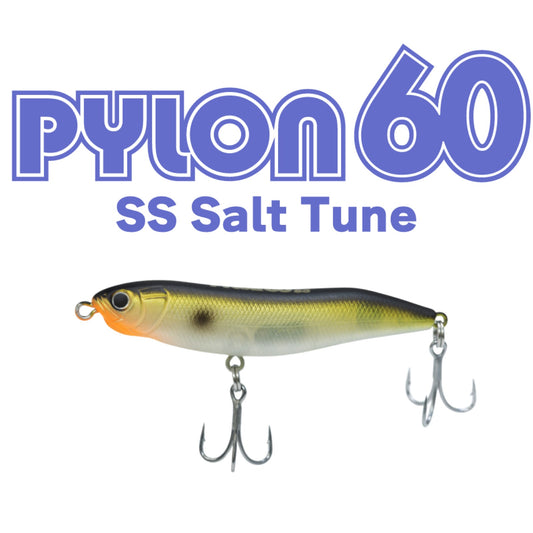 Pylon60SS Salt Tune - HIDEUP