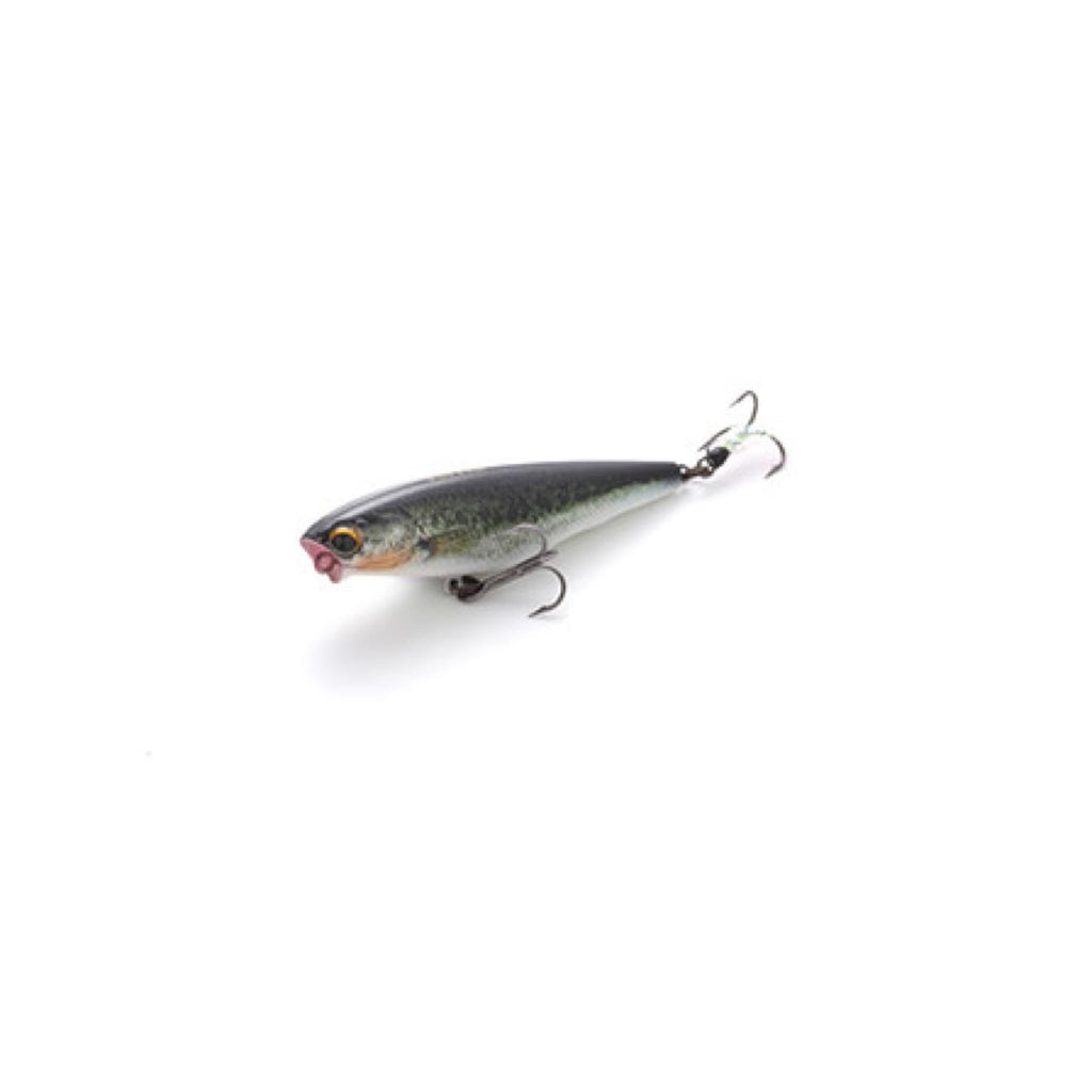 Dilemma Popper - IMAKATSU