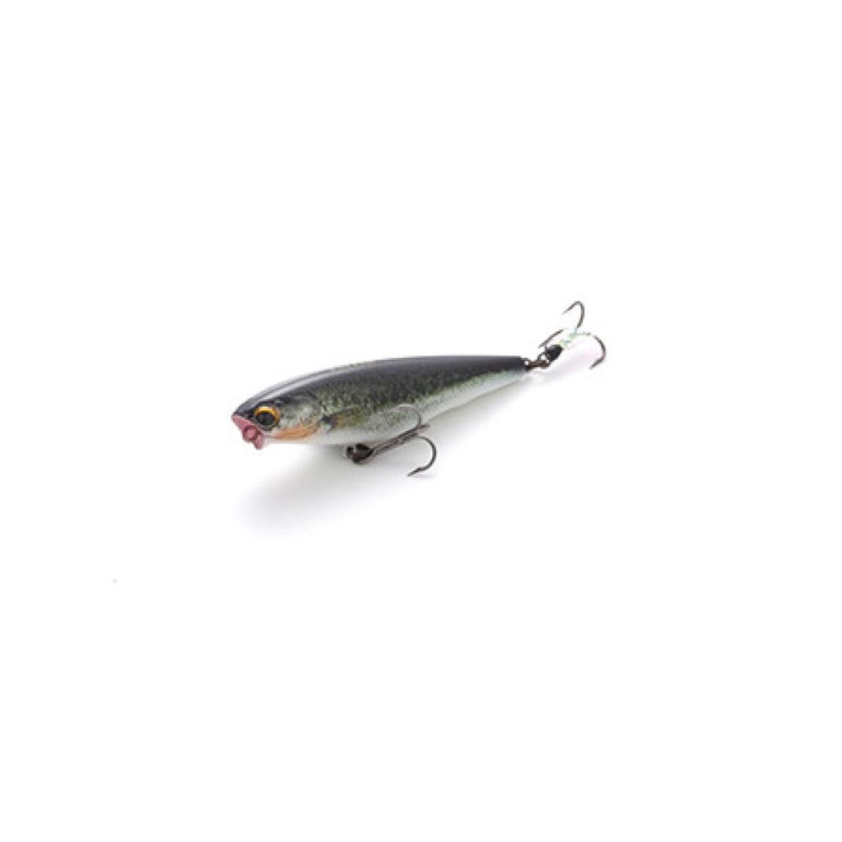 Dilemma Popper - IMAKATSU