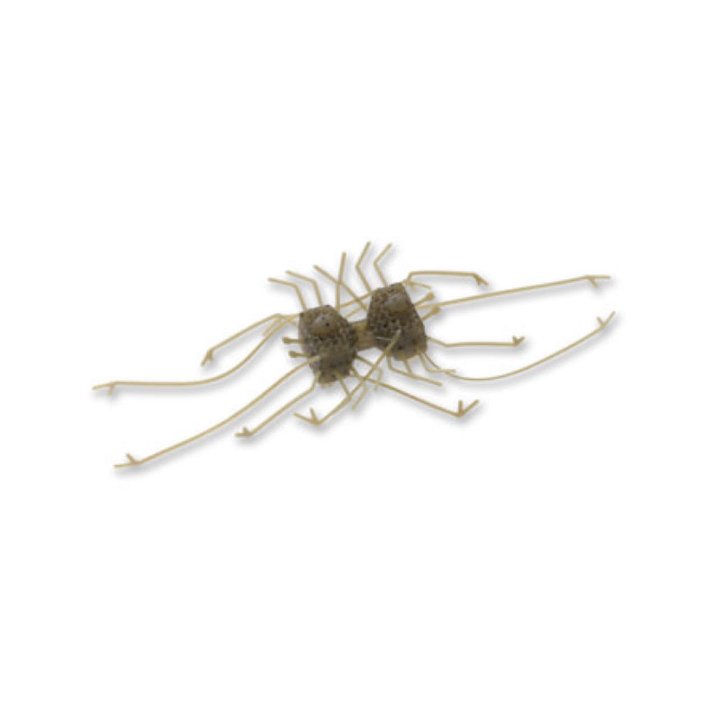Dumbbell CRAB - IMAKATSU