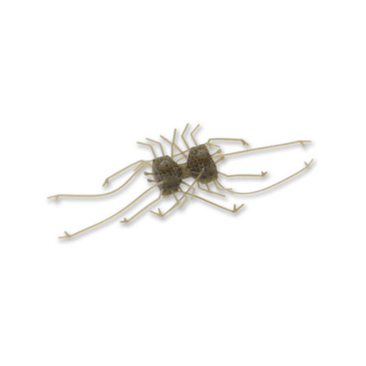 Dumbbell CRAB - IMAKATSU