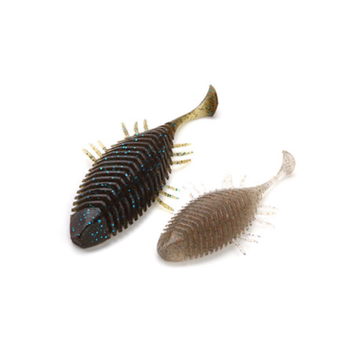 FlatHead Goby - IMAKATSU