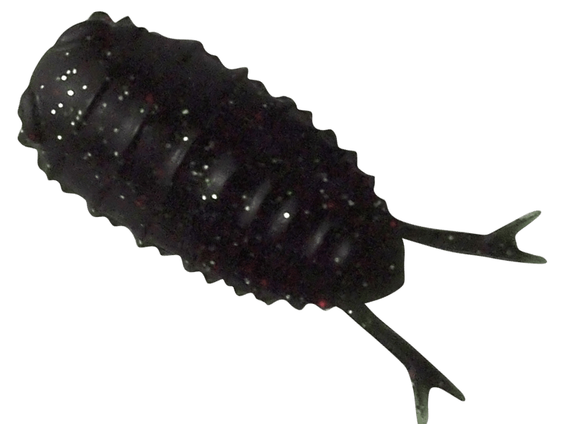 13-Roach - BREADEN