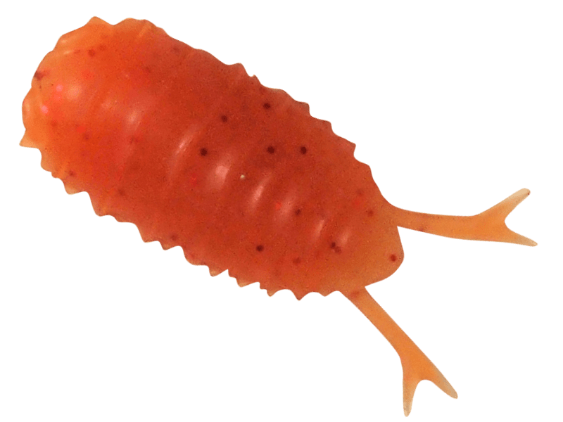 13-Roach - BREADEN