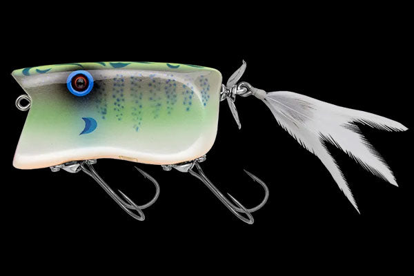 GILL TOP - NORIES