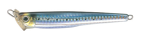 CONTACT INT. - TACKLE HOUSE