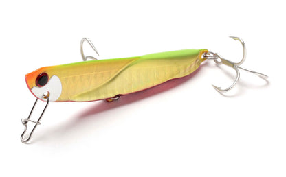 Tobisugi Daniel - Jackson