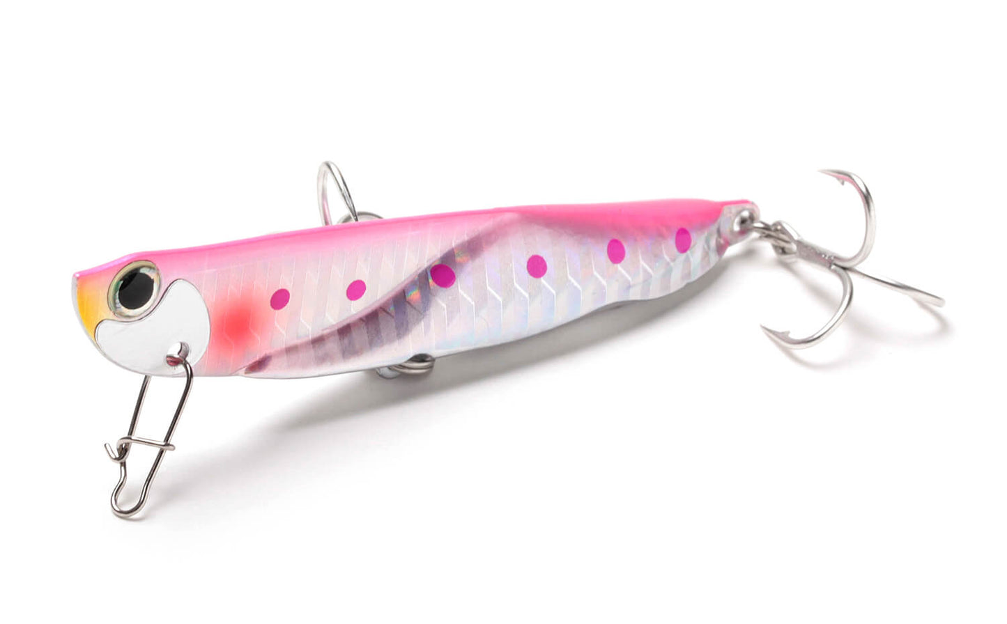 Tobisugi Daniel - Jackson