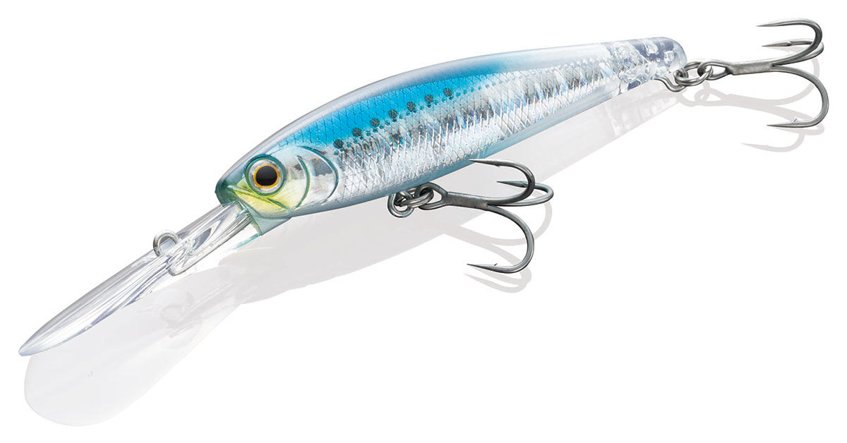 Jester Minnow 78S - Jackson