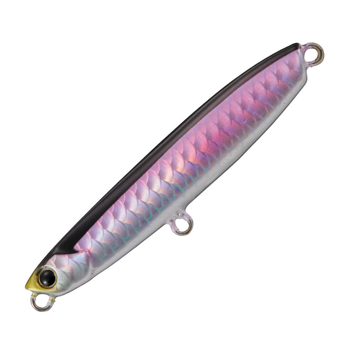 Jigpara Surf - Major Craft