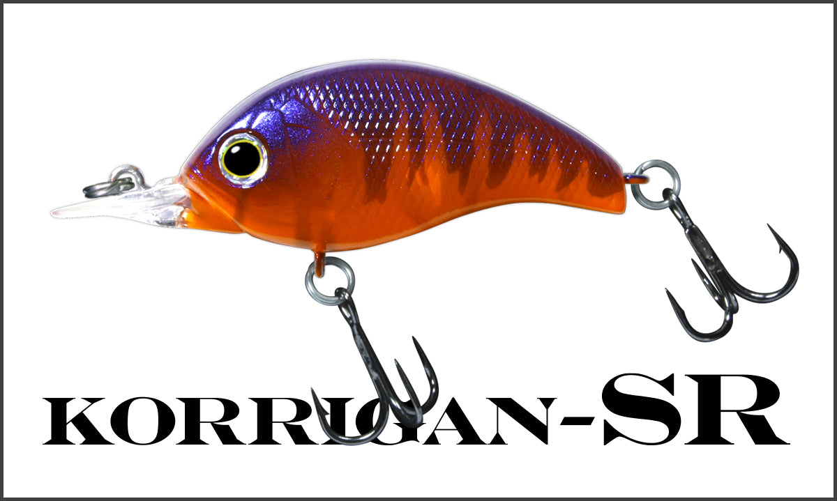 KORRIGAN SR - deps