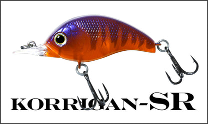 KORRIGAN SR - deps