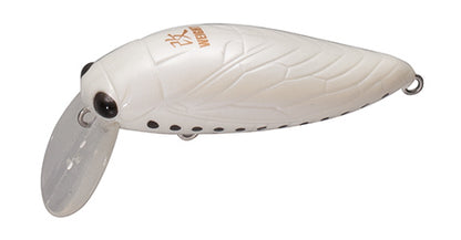 elfin Large Cicada - TACKLE HOUSE