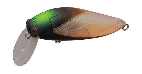 elfin Large Cicada - TACKLE HOUSE