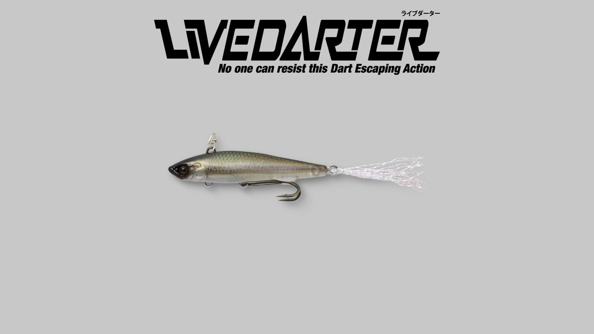 LIVE DARTER - JACKALL