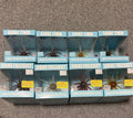 Coike 8-Pack Bundle