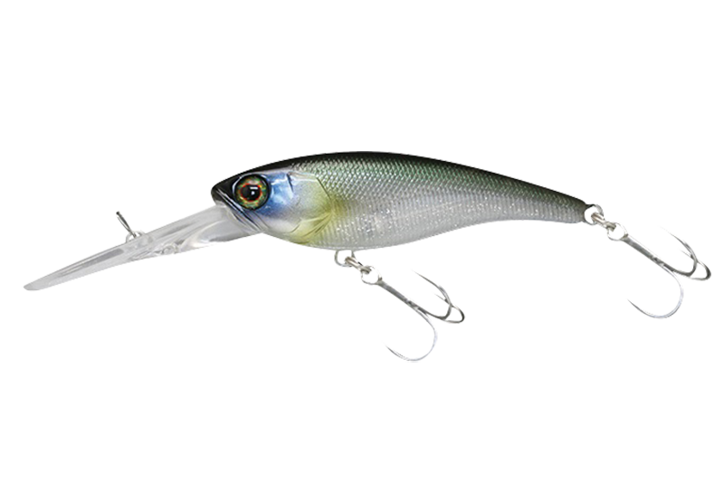 SOUL SHAD - JACKALL