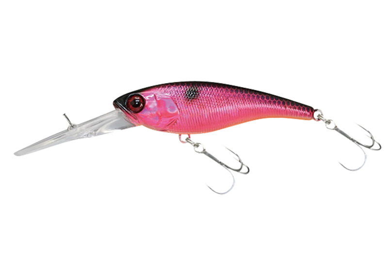 SOUL SHAD 68 - JACKALL