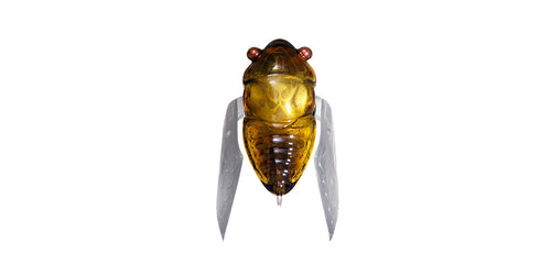 GH春蝉 HARUZEMI - Megabass