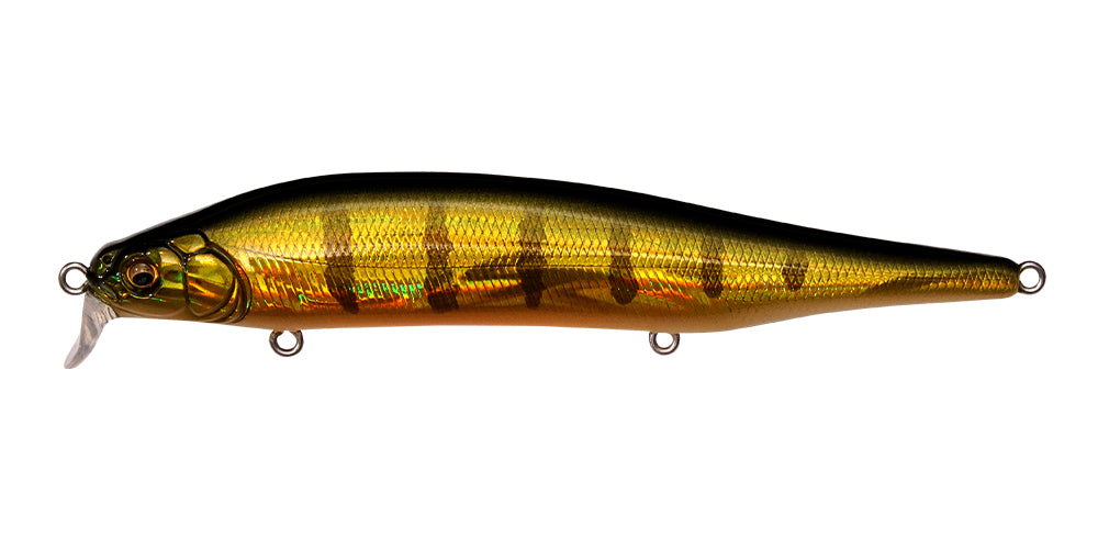 ITO SHINER SSR - Megabass