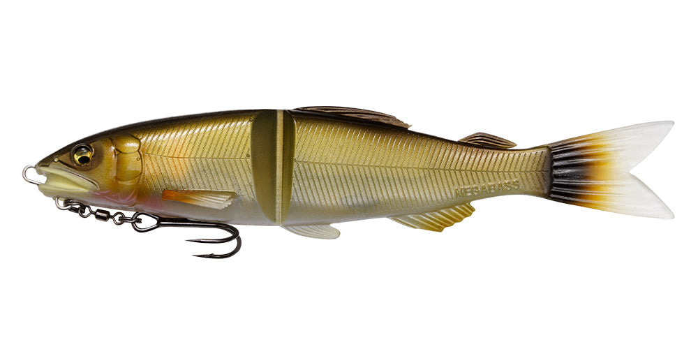 MAGDRAFT 鮎 AYU TWITCHER - Megabass
