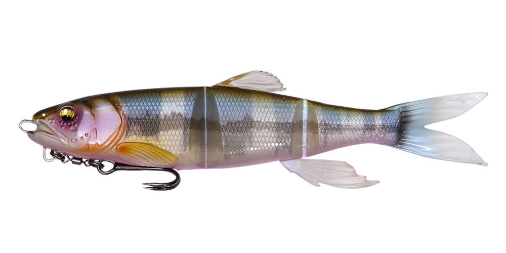 MAGDRAFT 鰣 HASU RAVER - Megabass