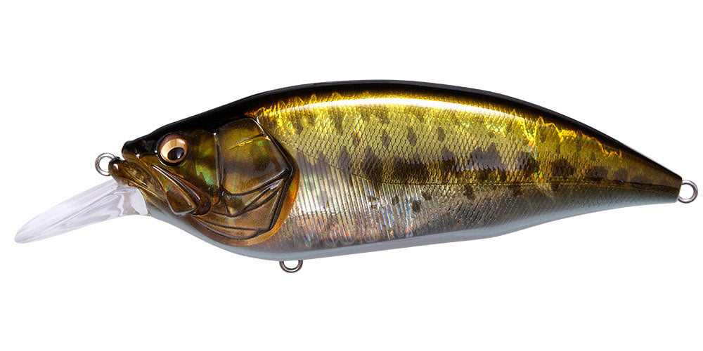 BIG-M 4.0 - Megabass