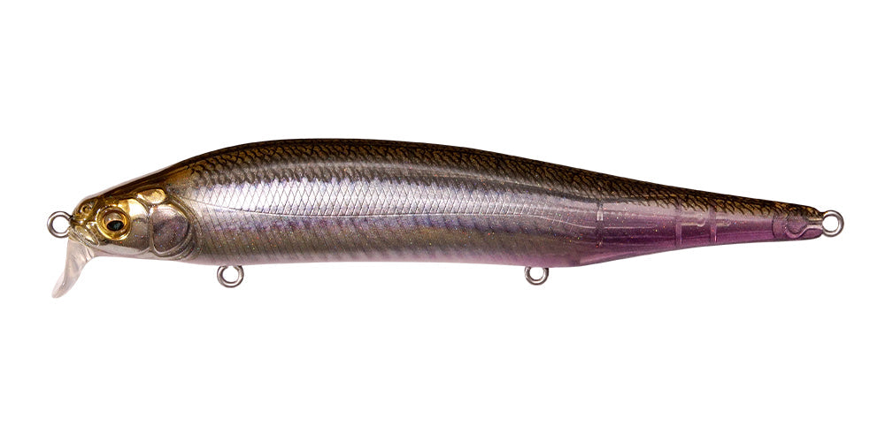 ITO SHINER SSR - Megabass