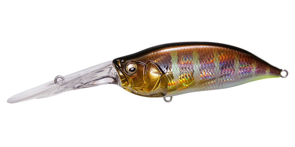 IxI SHAD TX - Megabass
