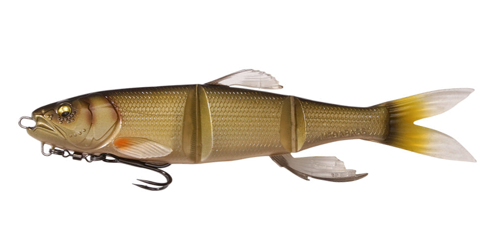 MAGDRAFT 鰣 HASU RAVER - Megabass