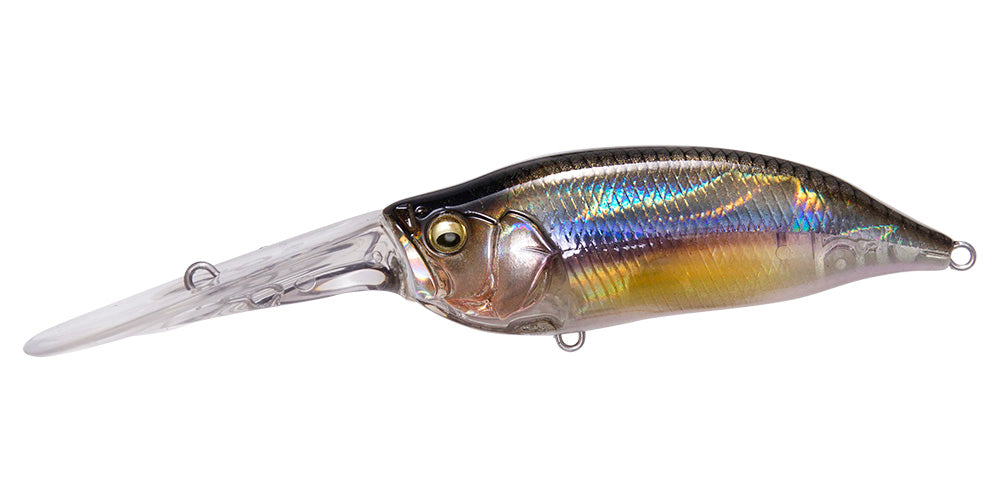 IxI SHAD TX - Megabass