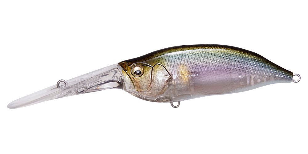 IxI SHAD TX - Megabass